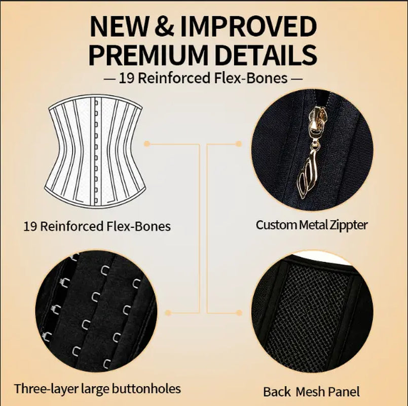 QUISHAPER Breathable Waist Trainer Belt Cincher Trimmer Tummy Control Body Shaper Women and Men for Corset Sport Workout Postpartum Belly Band Gym Beauty Shapewear Girdle Zipper Hooks Womenswear